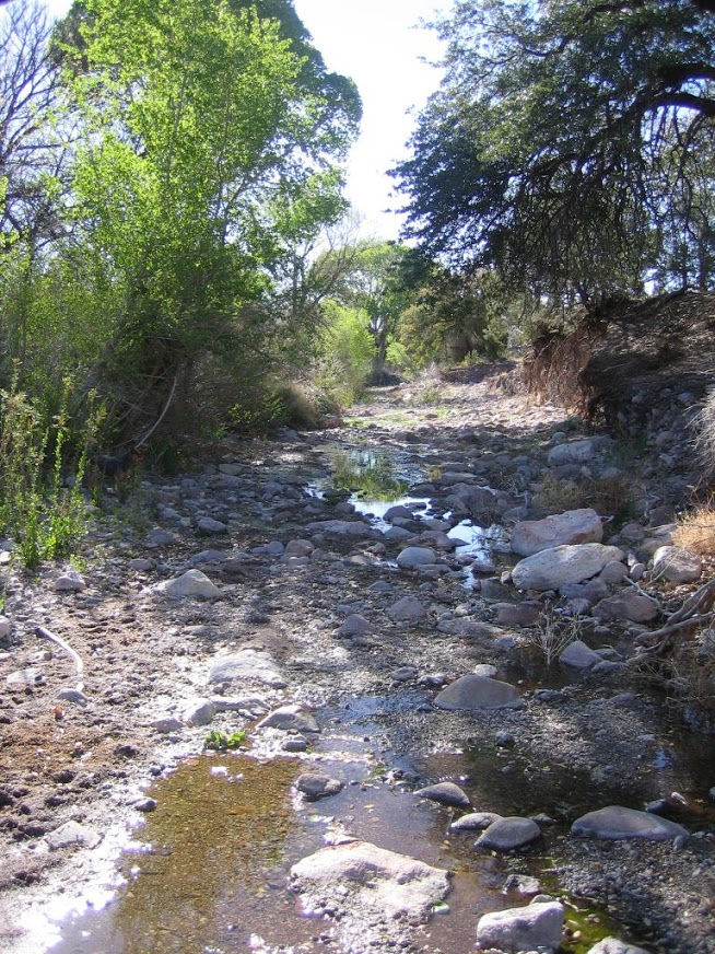 Riparian habitat