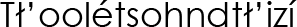Navajo Name (shown as image because
					some glyphs in Navajo cannot be
					conveyed as text)