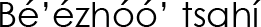 Navajo Name (shown as image because
					some glyphs in Navajo cannot be
					conveyed as text)