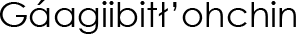 Navajo Name (shown as image because
					some glyphs in Navajo cannot be
					conveyed as text)